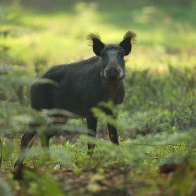 Bonte Specht Villa Otterlo Dış mekan fotoğraf